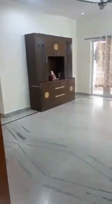 Room for rent in Madhapur