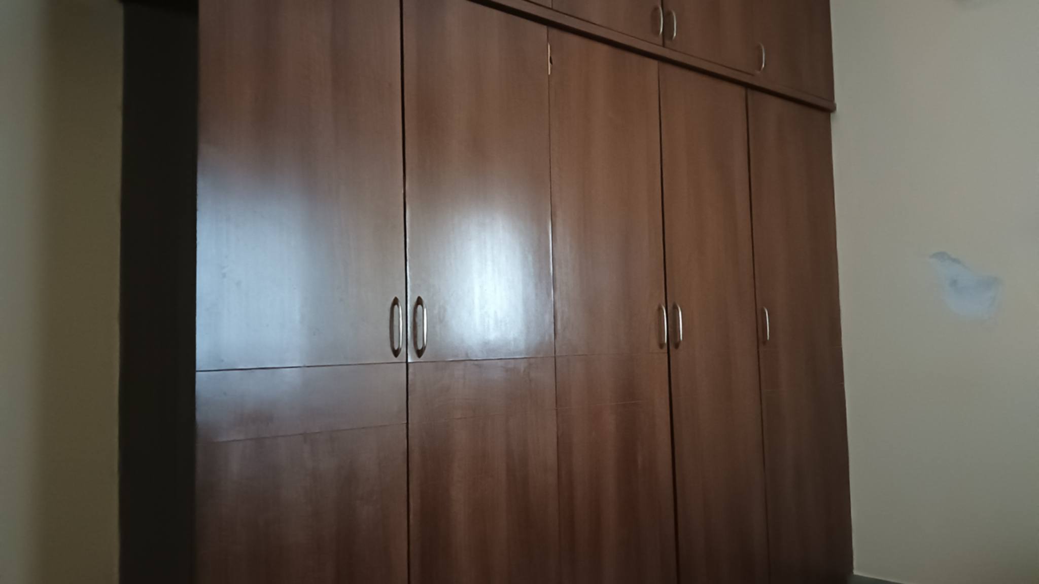 Room for rent in Reliance Paradise Kondapur