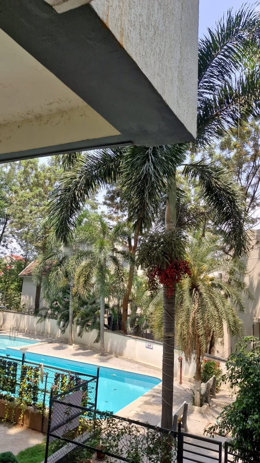 Room for rent in Surya Towers Izzatnagar, HITEC City