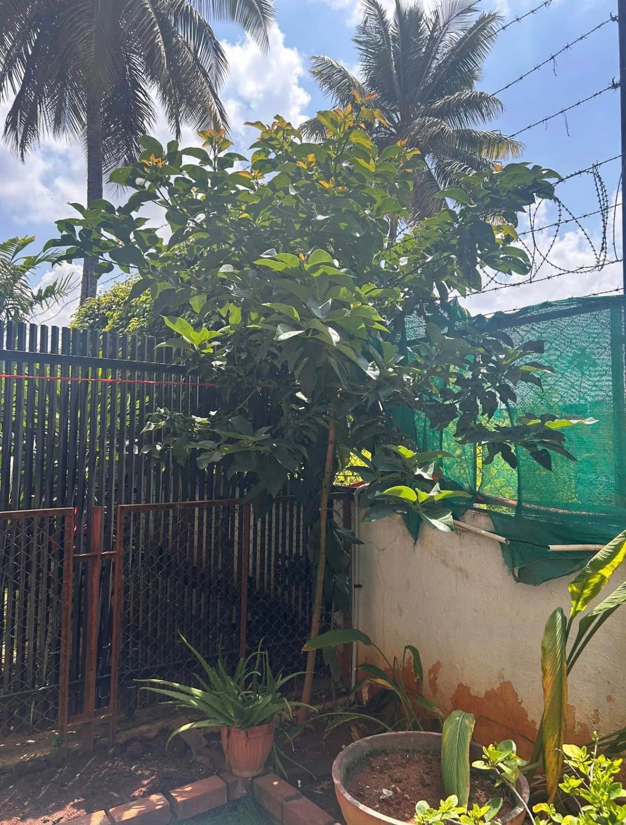 Room for rent in Waterwoods Whitefield